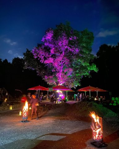 Beleuchteter Baum mit lila Licht und festlicher Atmosphäre, umgeben von Gästen und Tischen.